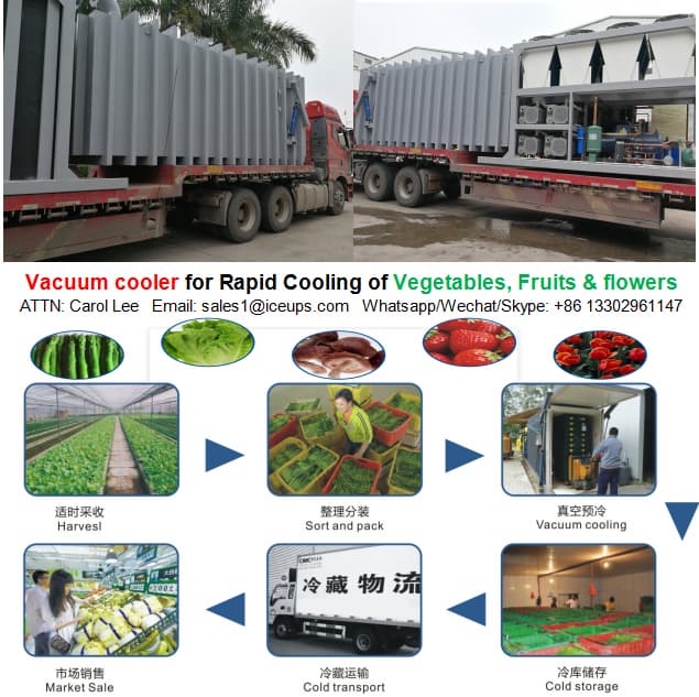 Vacuum Precooling Machine for Strawberry Preservation